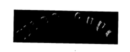 WISE GUYS trademark