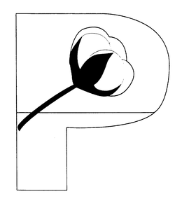 P trademark