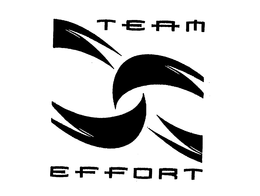 TEAM EFFORT trademark