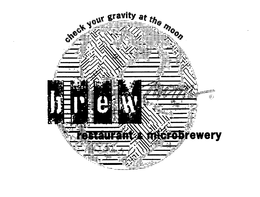 CHECK YOUR GRAVITY AT THE MOON trademark