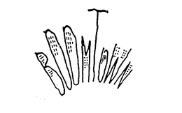 BOOMTOWN trademark