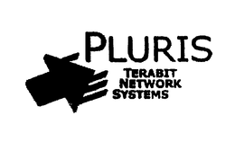 PLURIS TERABIT NETWORK SYSTEMS trademark