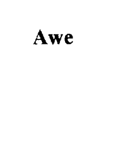 AWE trademark