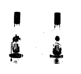 GEDIMINAS DEGTINE trademark