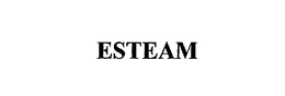ESTEAM trademark