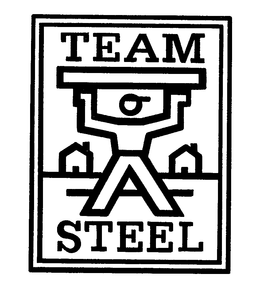 TEAM STEEL trademark