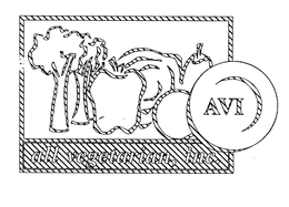 AVI trademark