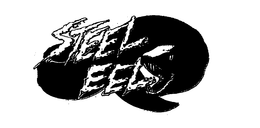 STEEL EEL trademark