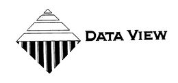DATA VIEW trademark