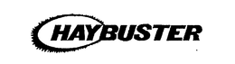 HAYBUSTER trademark
