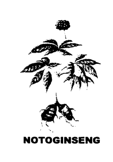 NOTOGINSENG trademark