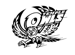 TEMPLE OWLS trademark