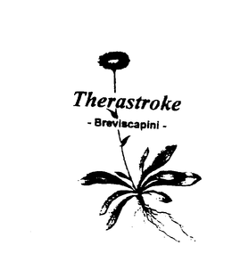 THERASTROKE BREVISCAPINI trademark