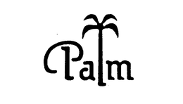 PALM trademark