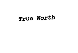TRUE NORTH trademark