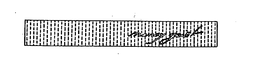 NANCY GEIST trademark