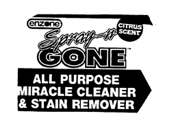 SPRAY N GONE ALL PURPOSE MIRACLE CLEANER & STAIN REMOVER trademark