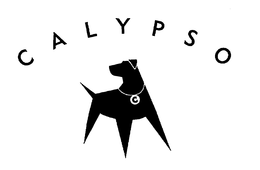 CALYPSO trademark