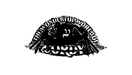 THE WONDERFUL WORLD OF CORDY trademark