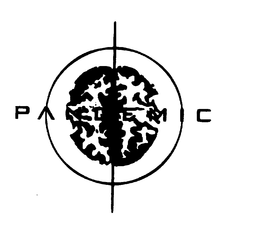 PANDEMIC trademark