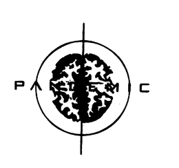 PANDEMIC trademark