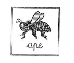 APE trademark