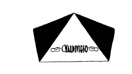 VALDIVIESO trademark
