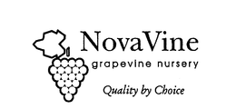 NOVAVINE GRAPEVINE NURSERY QUALITY BY CHOICE trademark