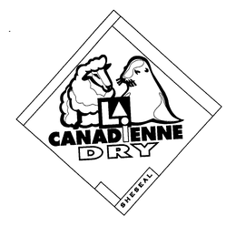 CANADIENNE DRY SHESEAL trademark