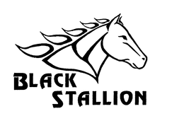 BLACK STALLION trademark