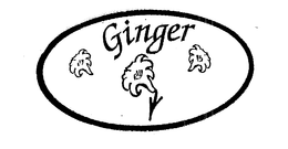 GINGER trademark