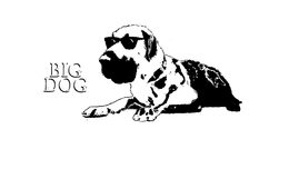 BIG DOG trademark