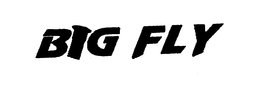 BIG FLY JEANS trademark