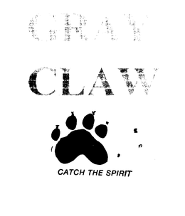 CATCH THE SPIRIT trademark