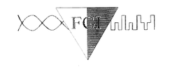 FGI trademark