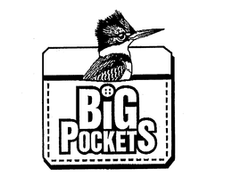 BIG POCKETS trademark