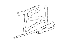 TSI trademark