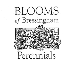 BLOOMS OF BRESSINGHAM PERENNIALS trademark