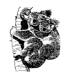 LogoMark trademark
