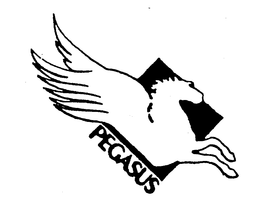 PEGASUS trademark