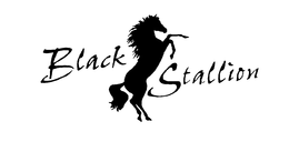 BLACK STALLION trademark