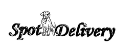 SPOT DELIVERY trademark
