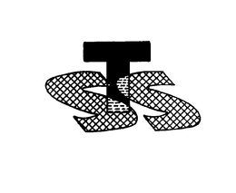 STS trademark