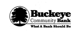 BUCKEYE COMMUNITY BANK WHAT A BANK SHOULD BE trademark