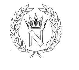 N trademark