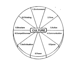 CULTURE ENVIRONMENT TIME ACTION COMMUNICATION SPACE POWER INDIVIDUALISM COMPETITIVENESS STRUCTURE THINKING trademark