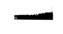 CFO trademark