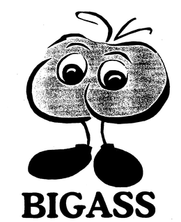 BIGASS trademark