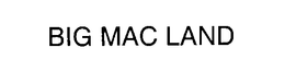BIG MAC LAND trademark