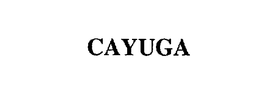 CAYUGA trademark